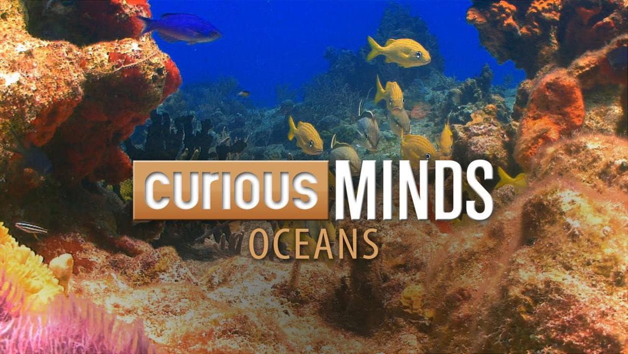 Curious Minds: Oceans