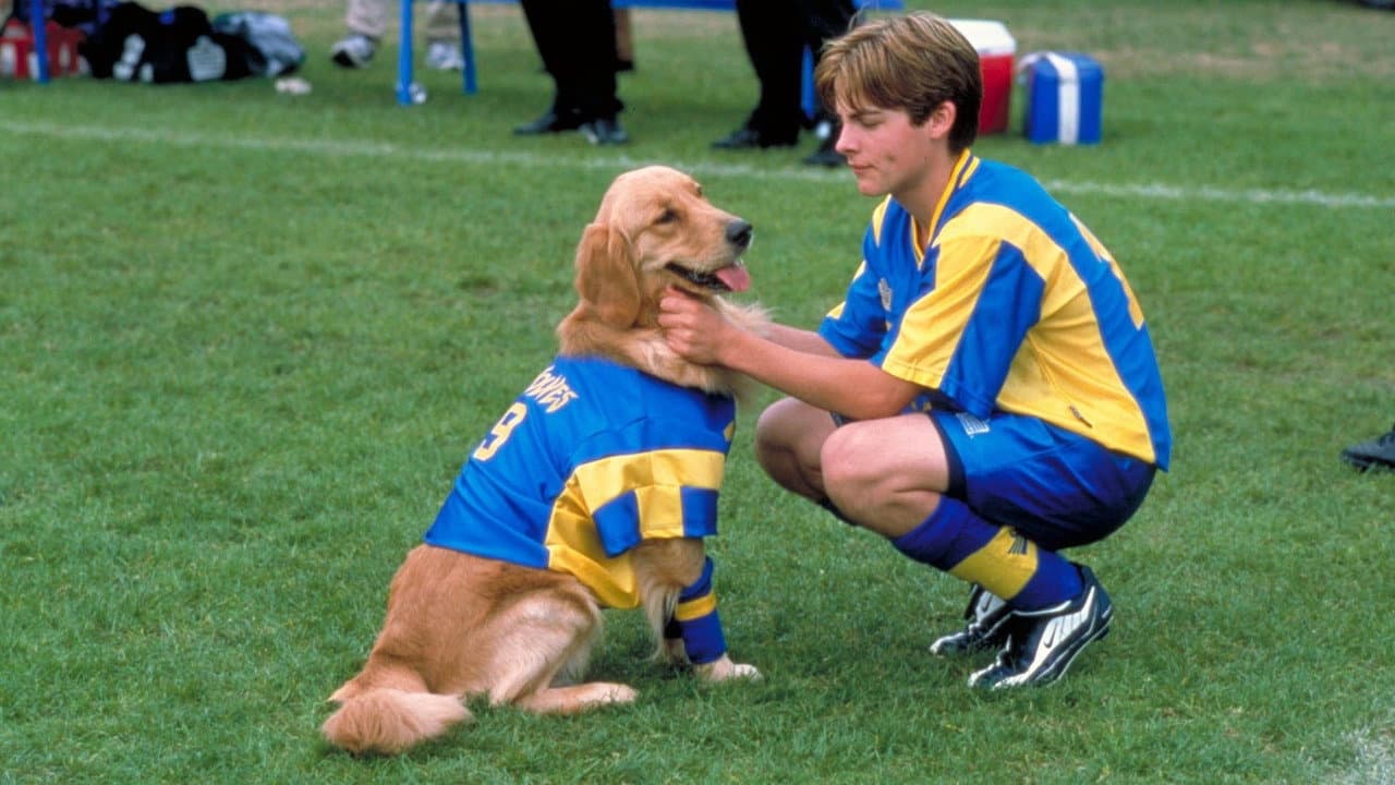 Air Bud 3: Los cachorros de Buddy
