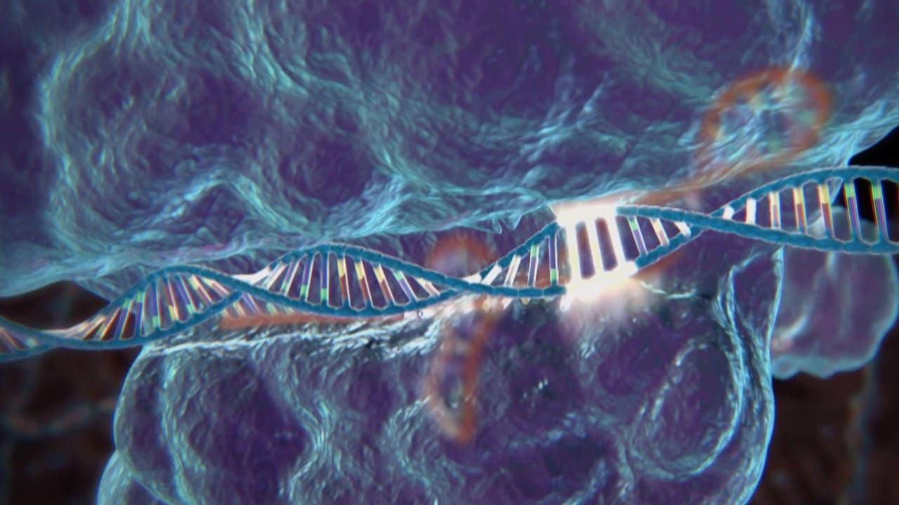 Top Science Stories Of 2016