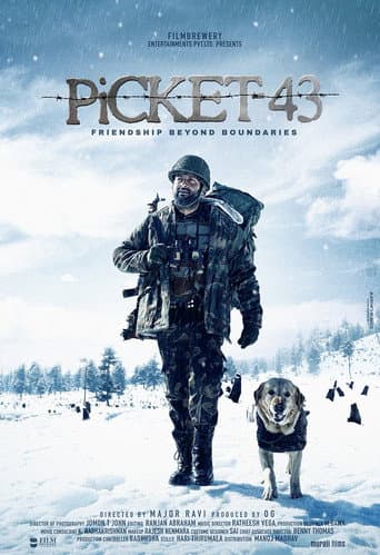 Picket 43