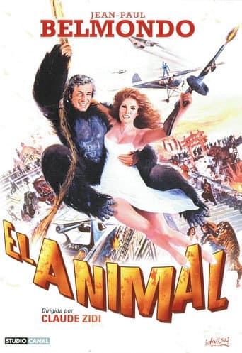 Animal