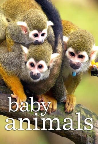 Animales bebé