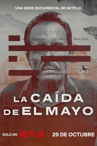 The Fall of El Mayo