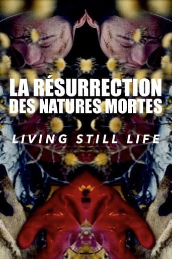 Living Still Life